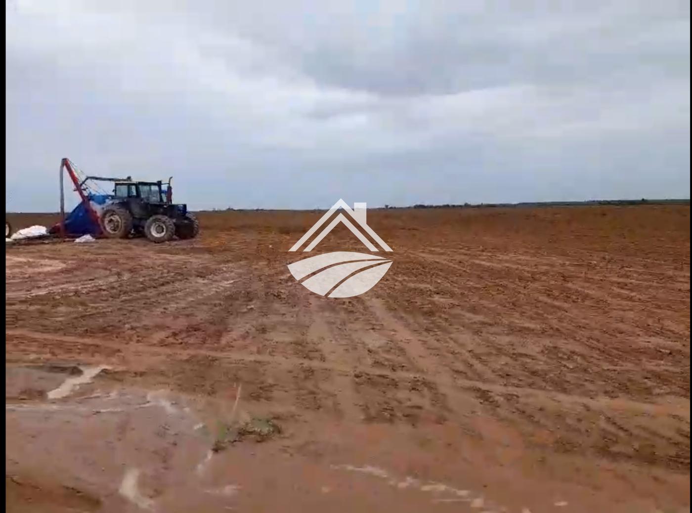 Fazenda, 1331 m² - Foto 6