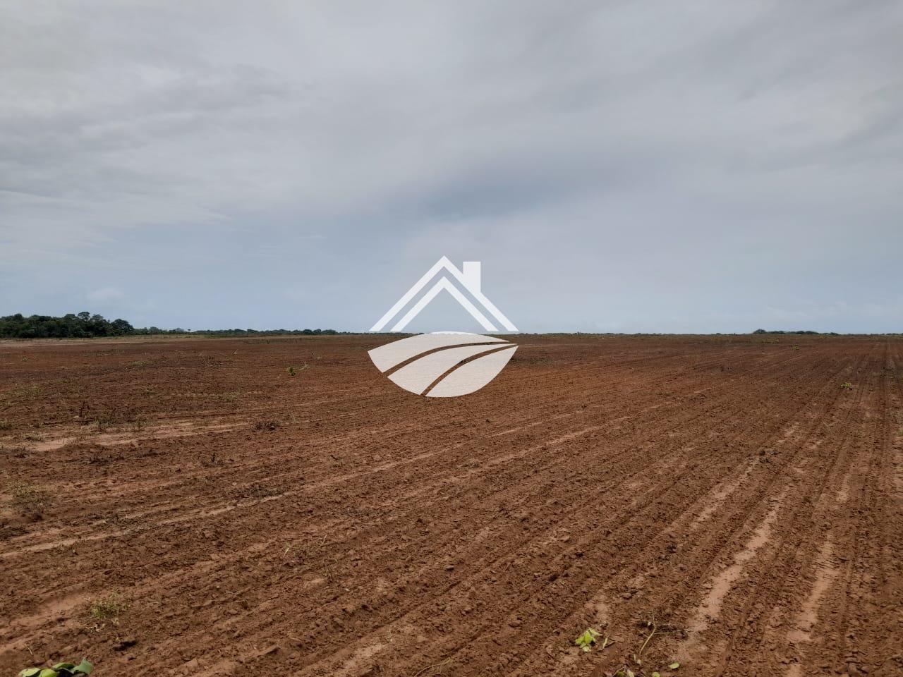 Fazenda, 1331 m² - Foto 9