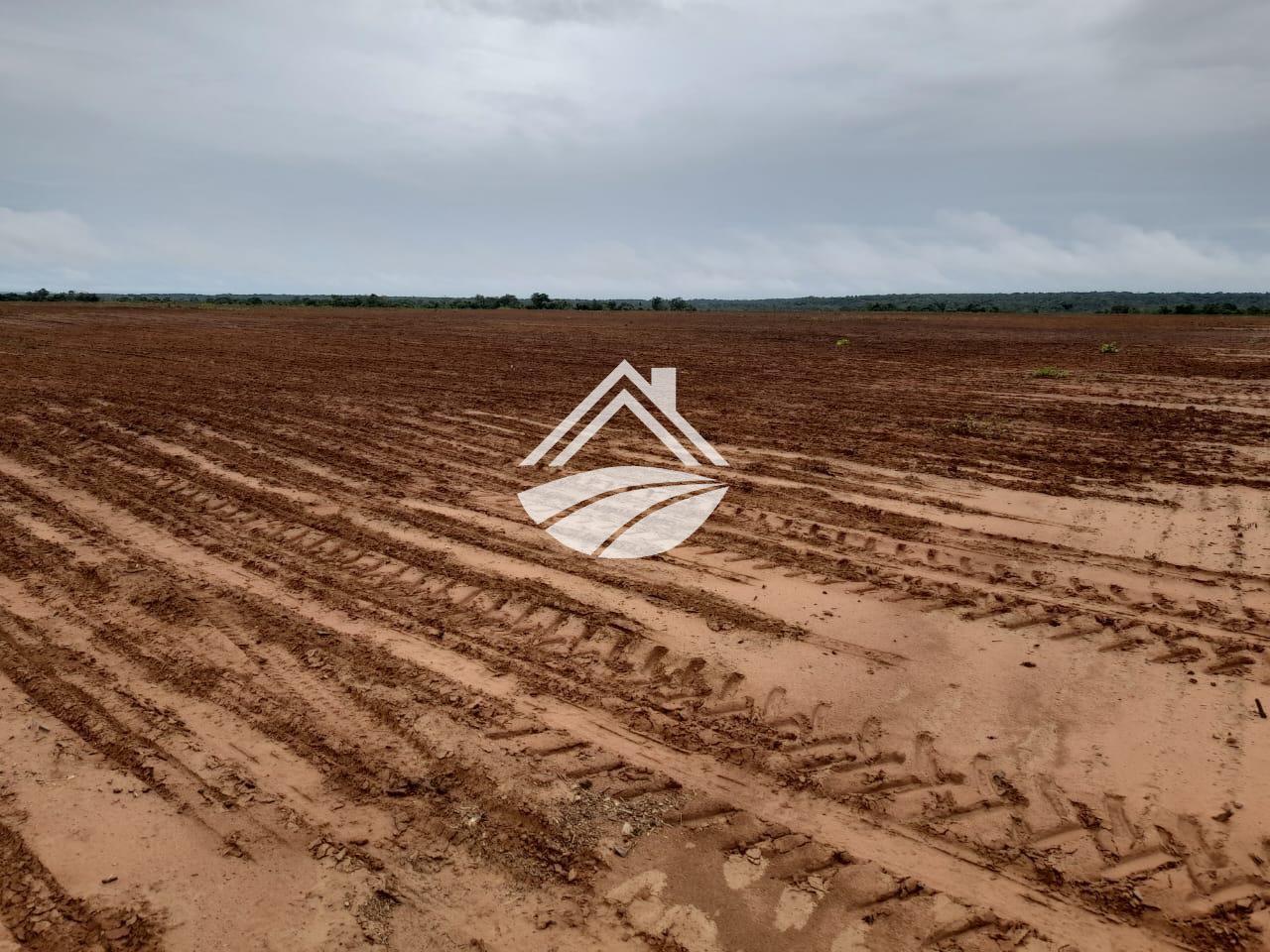 Fazenda, 1331 m² - Foto 8