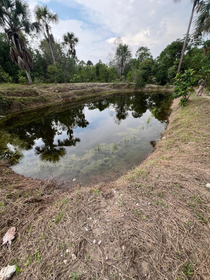 Fazenda, 394 m² - Foto 6