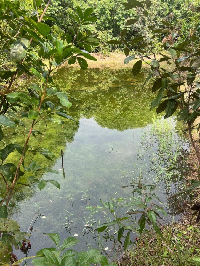 Fazenda, 394 m² - Foto 10