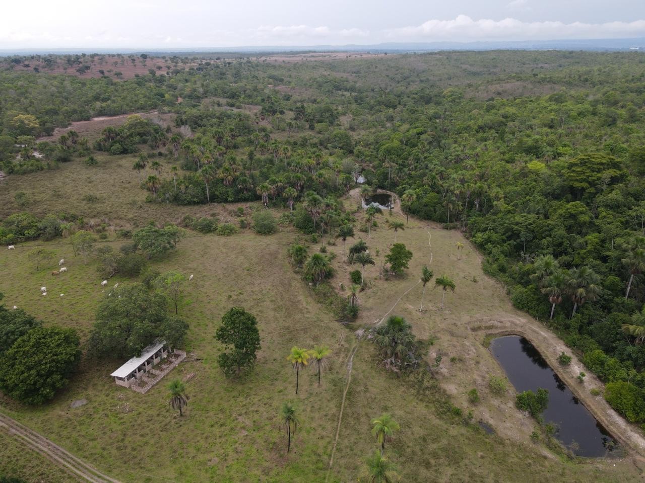 Fazenda, 394 m² - Foto 14