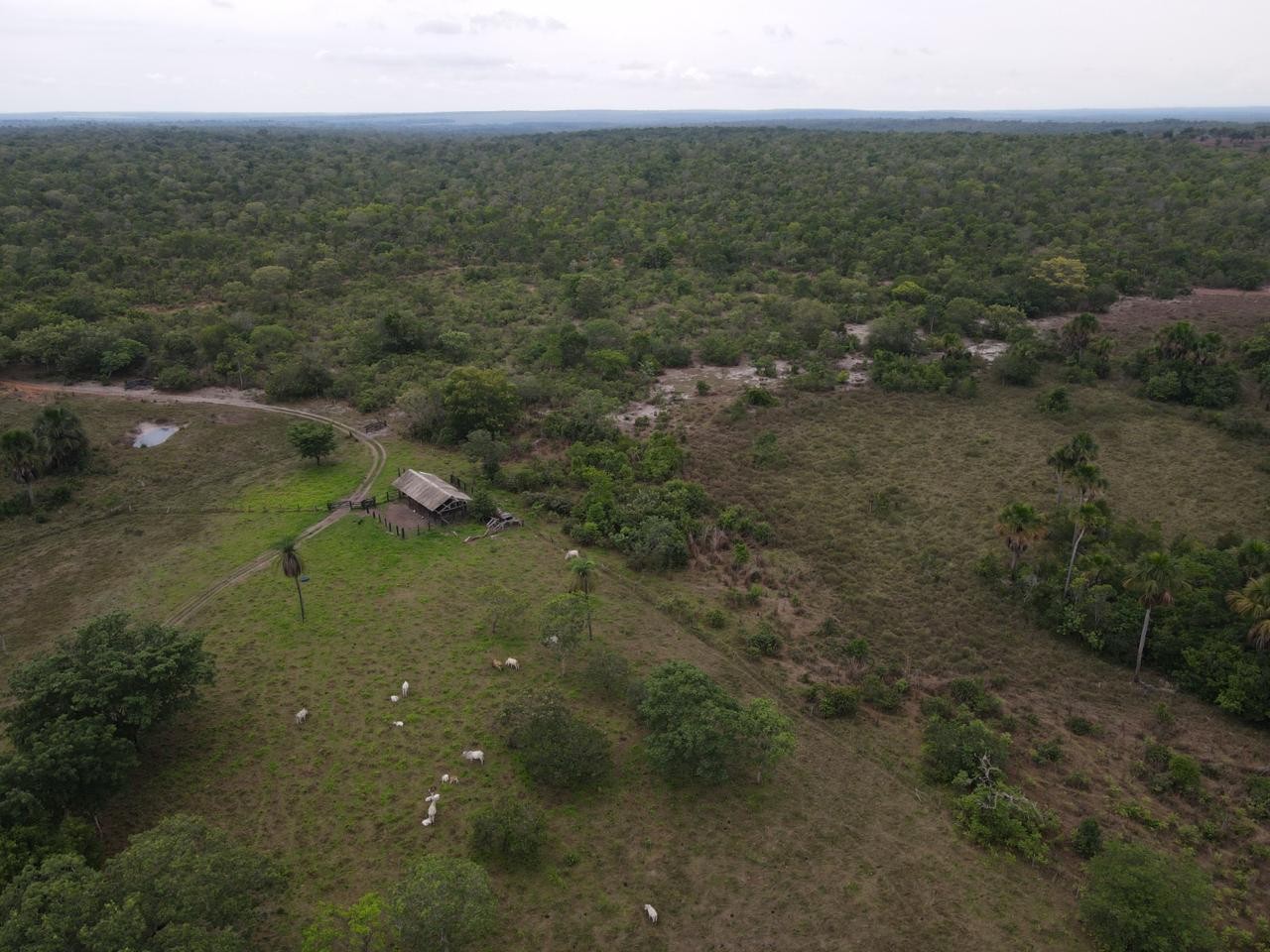 Fazenda, 394 m² - Foto 16