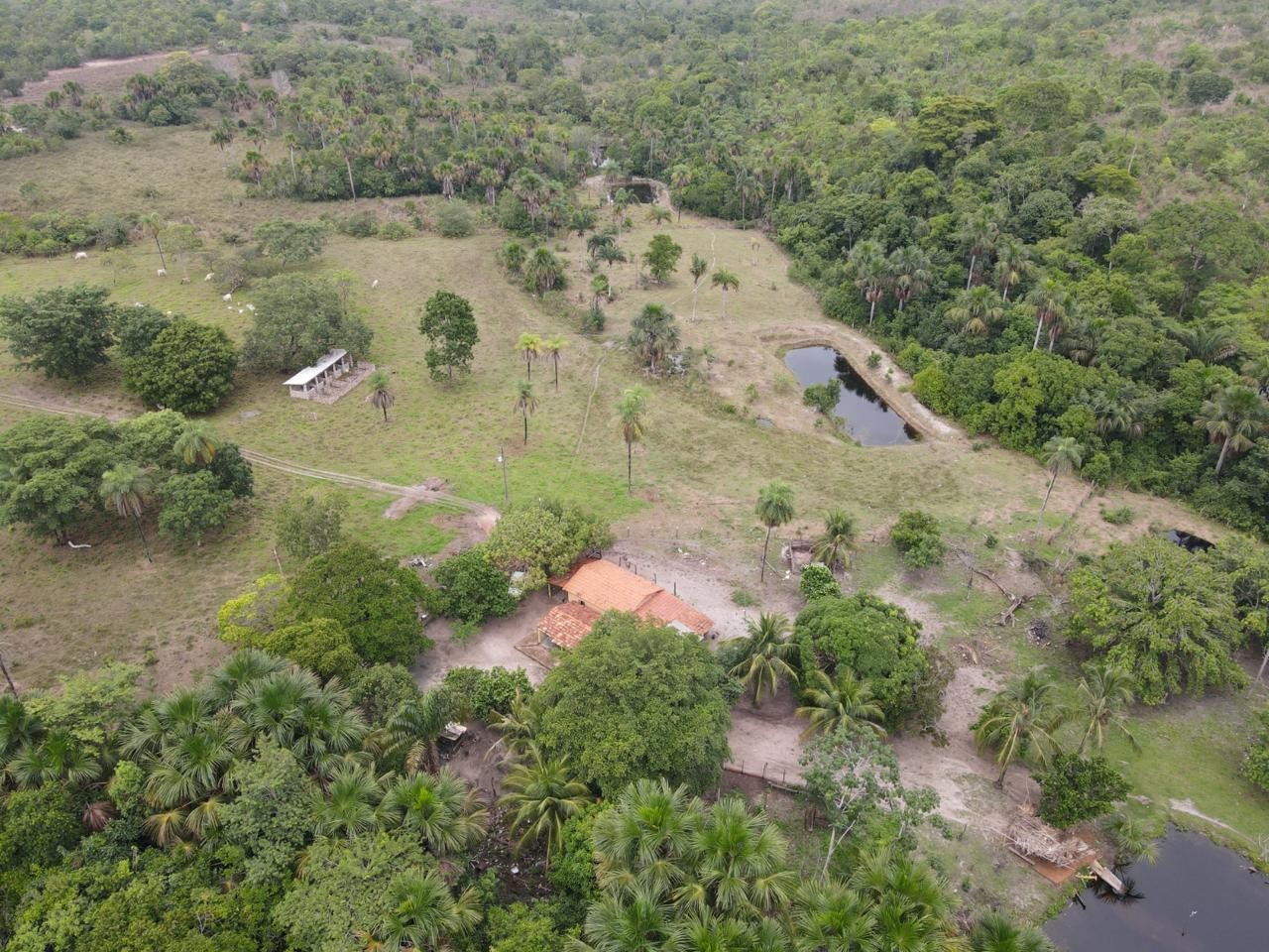 Fazenda, 394 m² - Foto 1