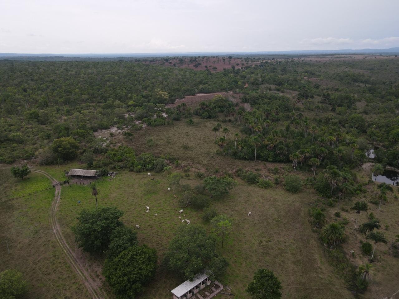 Fazenda, 394 m² - Foto 20