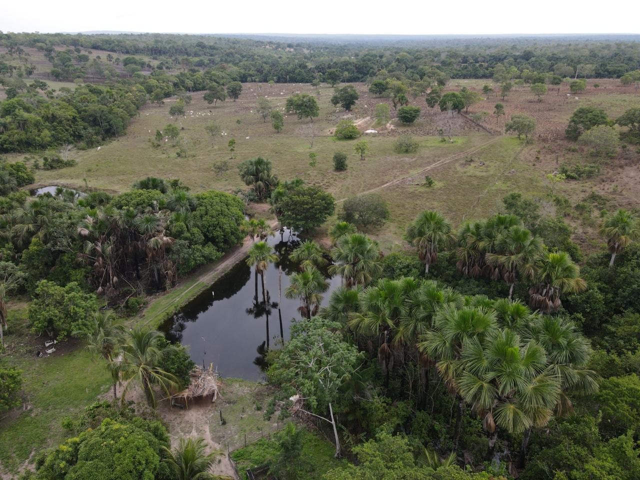 Fazenda, 394 m² - Foto 23
