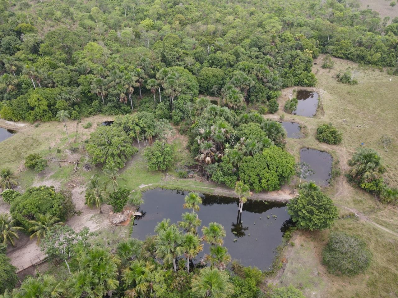 Fazenda, 394 m² - Foto 19