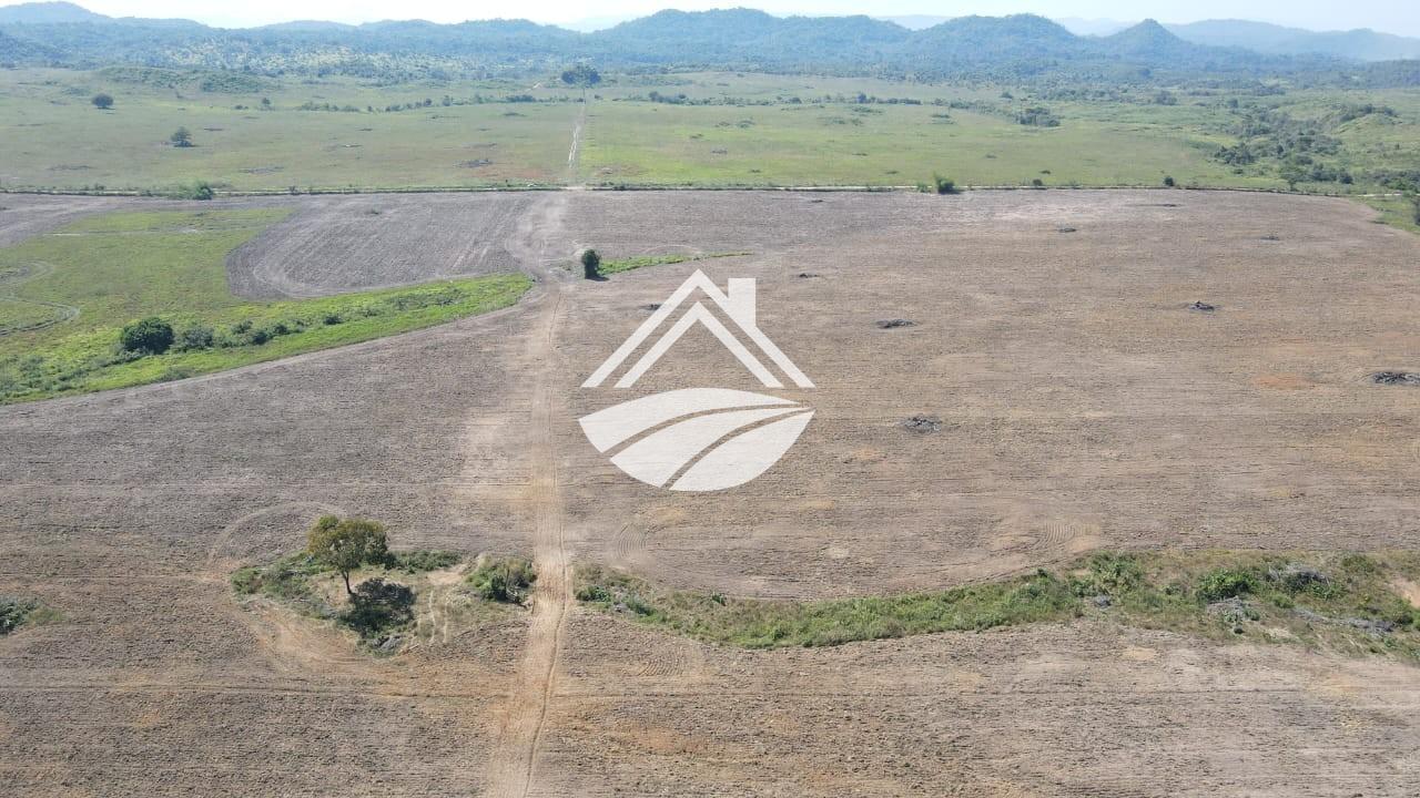 Fazenda, 4830 m² - Foto 4