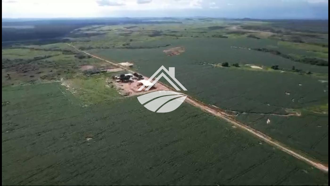 Fazenda, 4830 m² - Foto 1