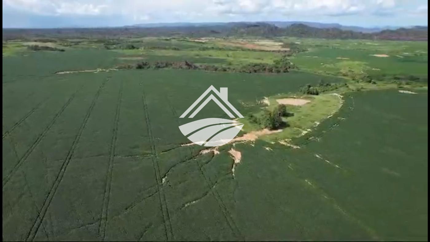 Fazenda, 4830 m² - Foto 9